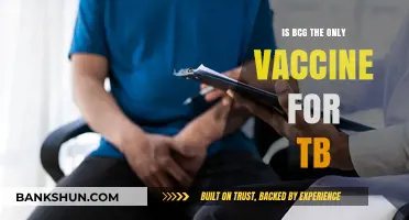 BCG Vaccine: The Sole TB Prevention or Are There Alternatives?