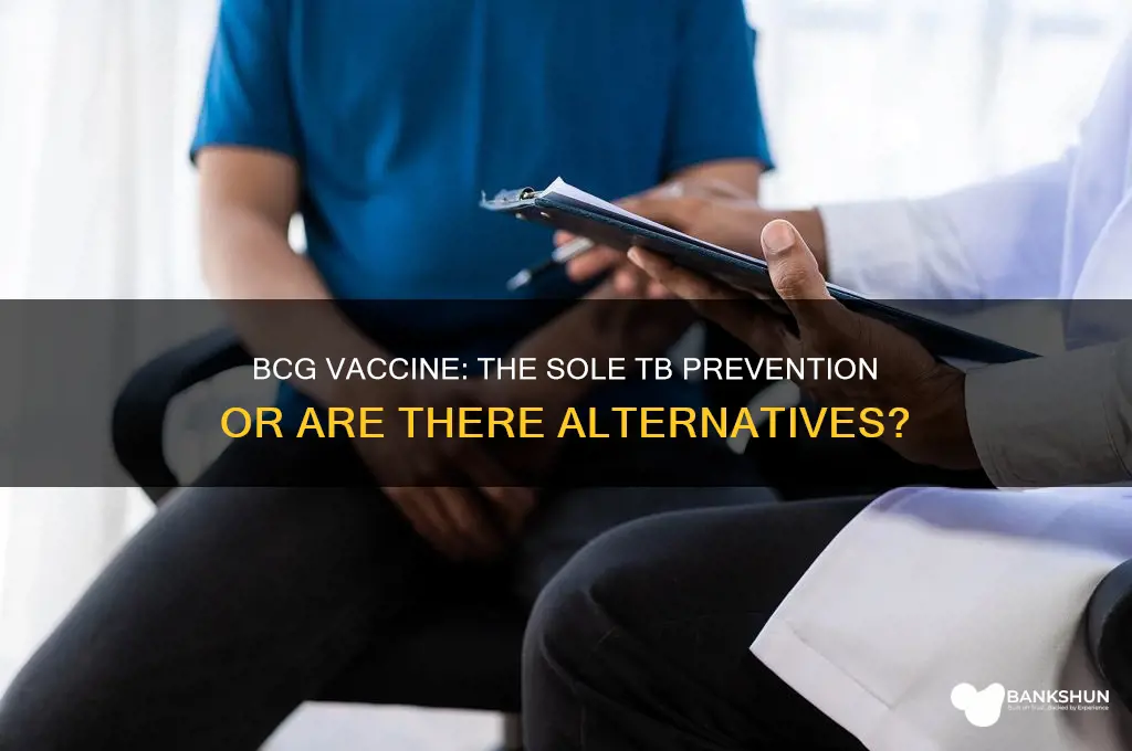 is bcg the only vaccine for tb