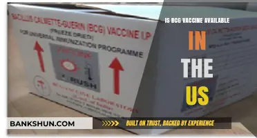 BCG Vaccine Availability in the US: What You Need to Know