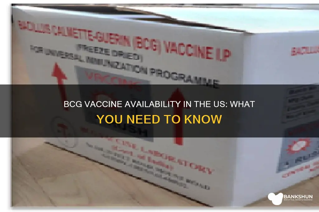 is bcg vaccine available in the us
