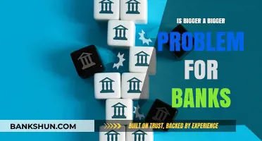 Is Bigger a Bigger Problem? Challenges of Bank Size and Stability