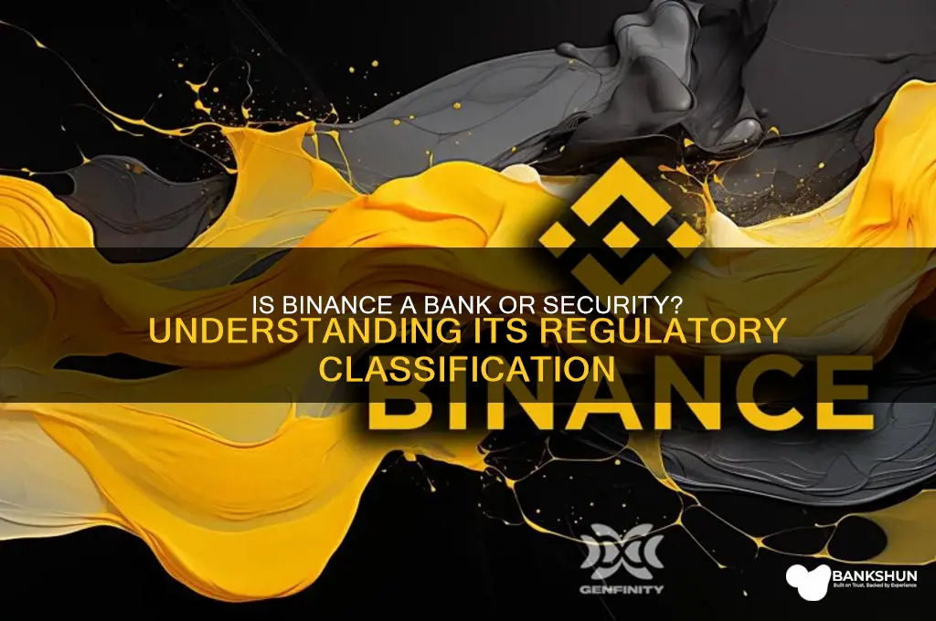 is binance considered a bank or security