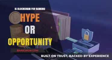 Blockchain in Banking: Hype, Opportunity, or the Future of Finance?