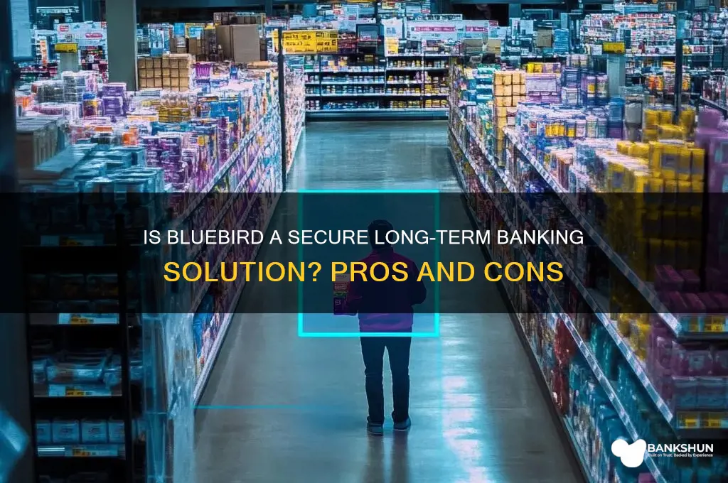 is bluebird secure for banking long term
