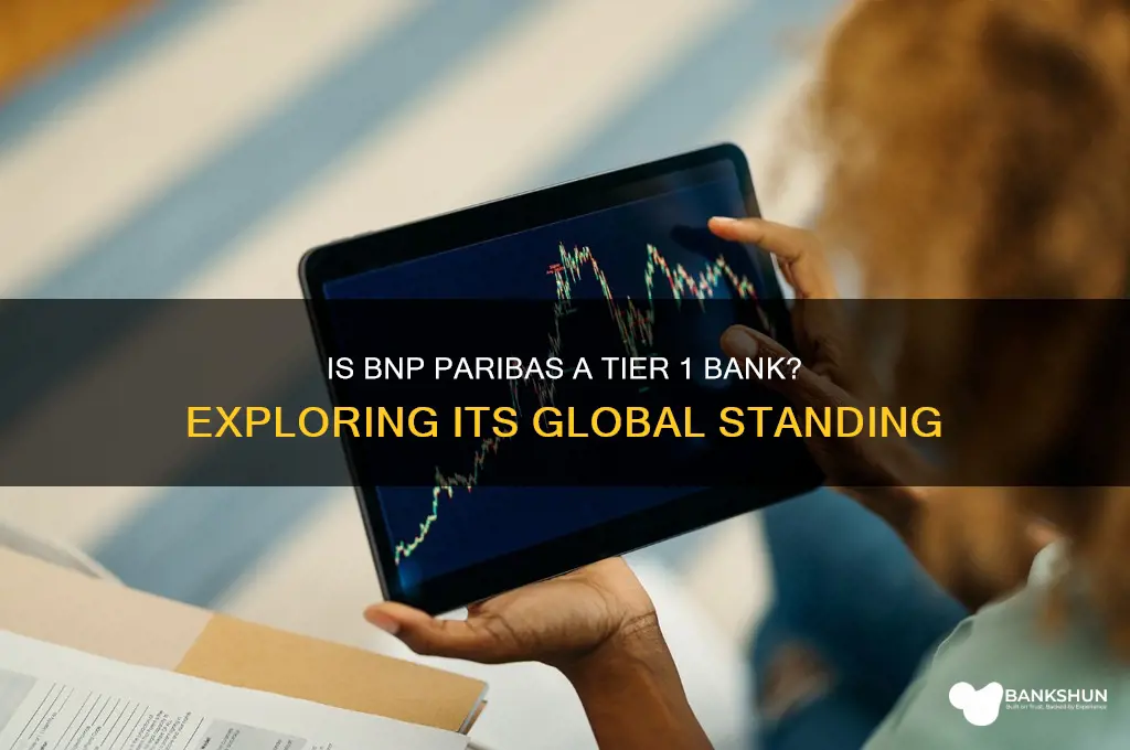 is bnp paribas a tier 1 bank