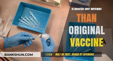 Booster Shot vs. Original Vaccine: Key Differences Explained