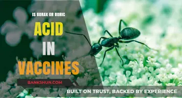 Borax vs. Boric Acid in Vaccines: Unraveling the Truth