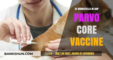 Bordatella in DAP Parvo Core Vaccine: What Pet Owners Need to Know