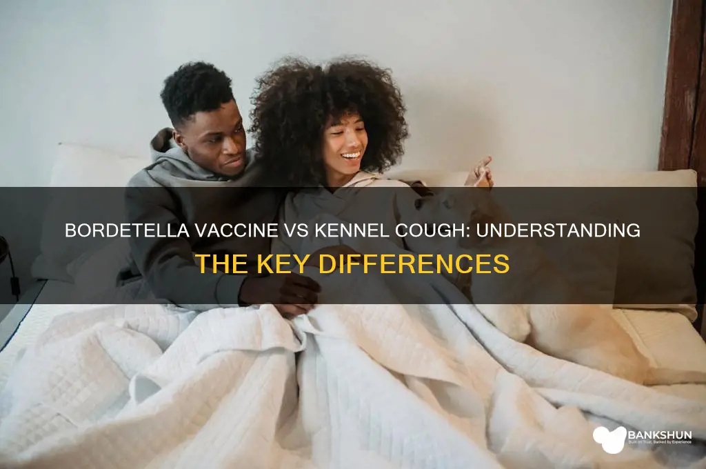 is bordetella vaccine same as kennel cough