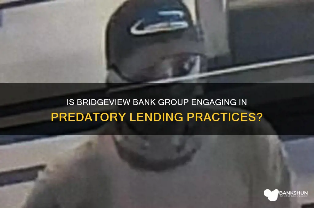 is bridgeview bank group a predatory lender