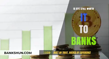 Is Bitcoin Still a Viable Investment for Banks in 2023?