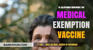 California's Vaccine Mandate: Medical Exemptions at Risk?