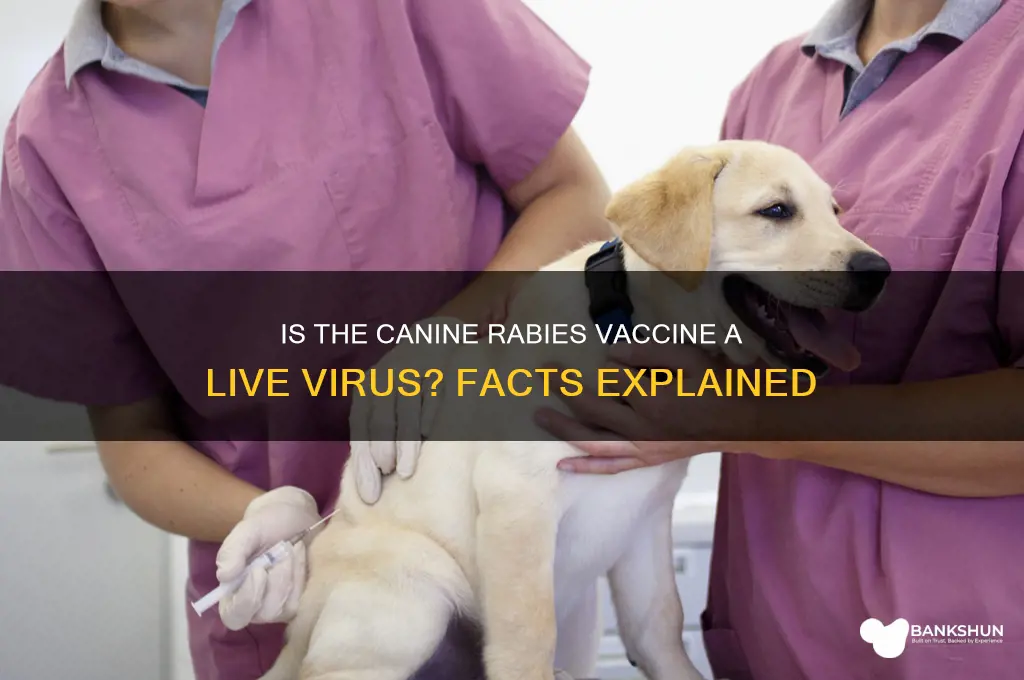 is canine rabies vaccine a live virus