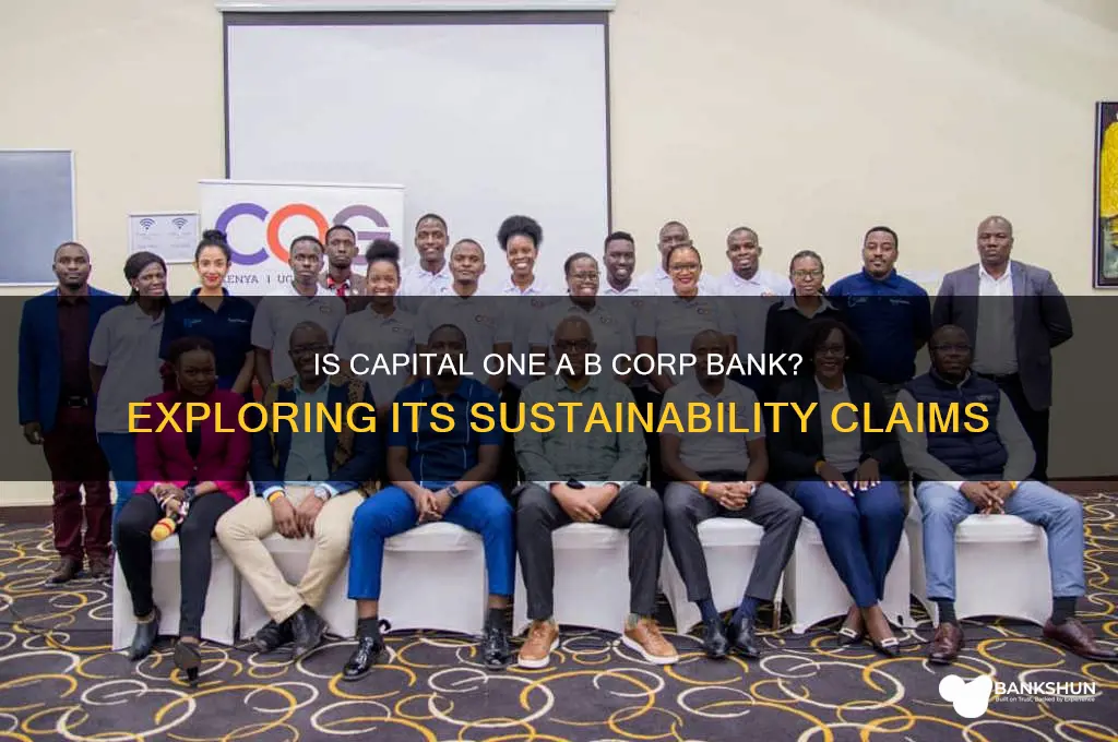 is capital one a b corp bank