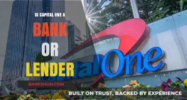 Is Capital One a Bank or Lender? Understanding Its Financial Role