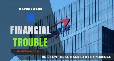 Is Capital One Bank Facing Financial Challenges? A Detailed Analysis