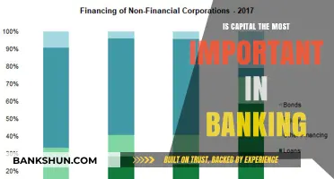Capital's Role in Banking: Is It the Most Critical Factor?