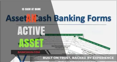 Is Cash at Bank an Active Asset? Understanding Its Role in Financial Statements