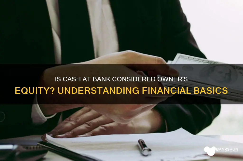 is cash at bank owner