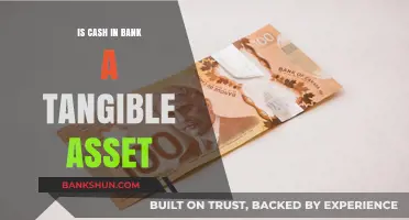 Is Cash in Bank a Tangible Asset? Exploring Financial Asset Classification