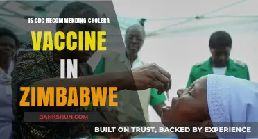 CDC's Cholera Vaccine Recommendation for Zimbabwe: What You Need to Know