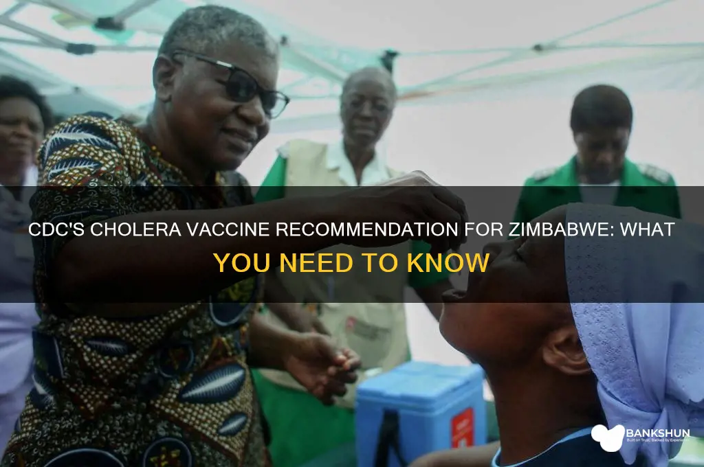 is cdc recommending cholera vaccine in zimbabwe