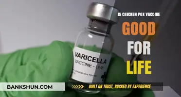 Is the Chicken Pox Vaccine Effective for a Lifetime?