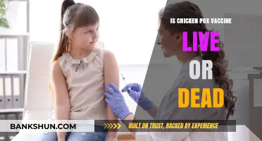 Is the Chickenpox Vaccine Live or Dead? Understanding the Varicella Shot