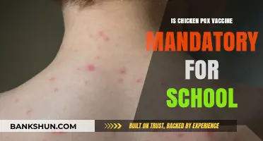 Is the Chicken Pox Vaccine Required for School Enrollment?