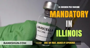 Is the Chicken Pox Vaccine Mandatory in Illinois?