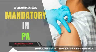 Is the Chicken Pox Vaccine Mandatory in Pennsylvania?