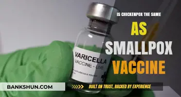 Chickenpox vs. Smallpox: Understanding the Difference in Vaccines