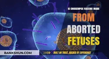 Chickenpox Vaccine and Aborted Fetal Cells: Separating Fact from Fiction