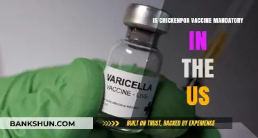 Is the Chickenpox Vaccine Mandatory in the US?