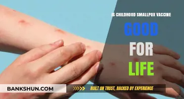 Childhood Smallpox Vaccine: Lifelong Immunity or Periodic Booster Needed?