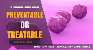 Chlamydia: Curable, Treatable, or Preventable? Exploring the Facts
