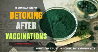 Chlorella for Post-Vaccination Detox: Benefits, Risks, and Evidence