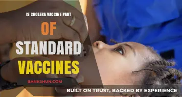 Is Cholera Vaccine Included in Standard Immunization Schedules?