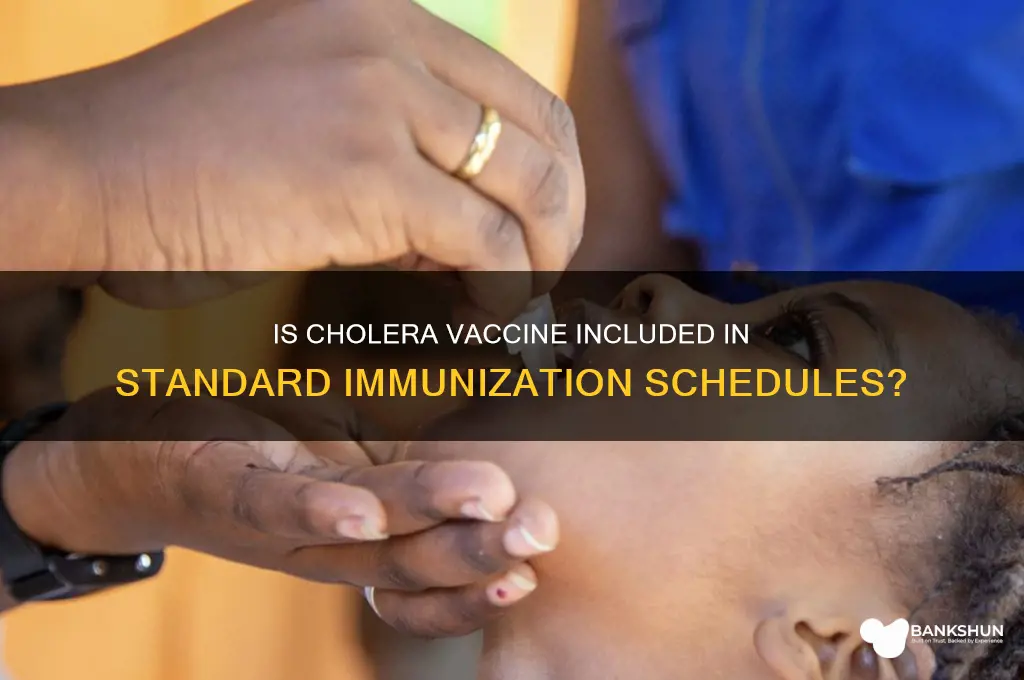 is cholera vaccine part of standard vaccines