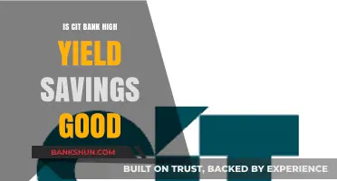 Is CIT Bank High Yield Savings a Smart Choice for You?