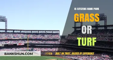 Citizens Bank Park: Exploring Its Field Surface - Grass or Turf?