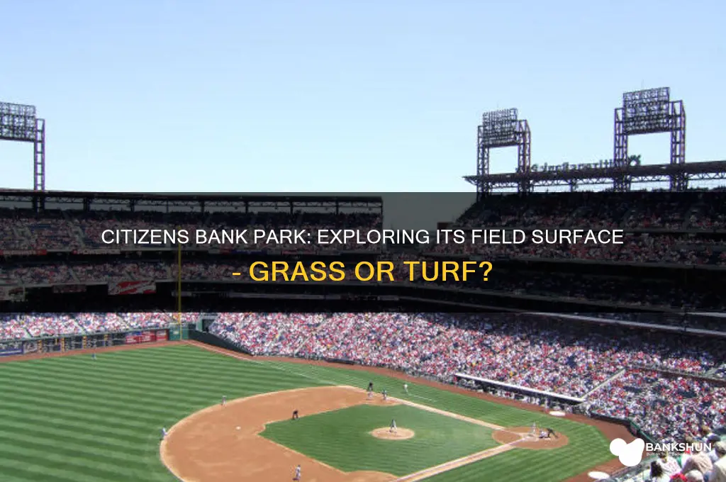 is citizens bank park grass or turf