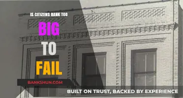 Is Citizens Bank Too Big to Fail? A Critical Analysis