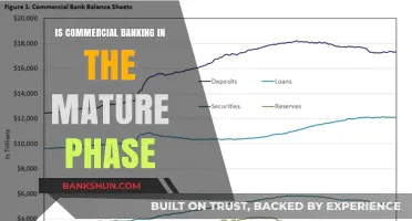 Is Commercial Banking in the Mature Phase? Analyzing Industry Trends and Future Outlook