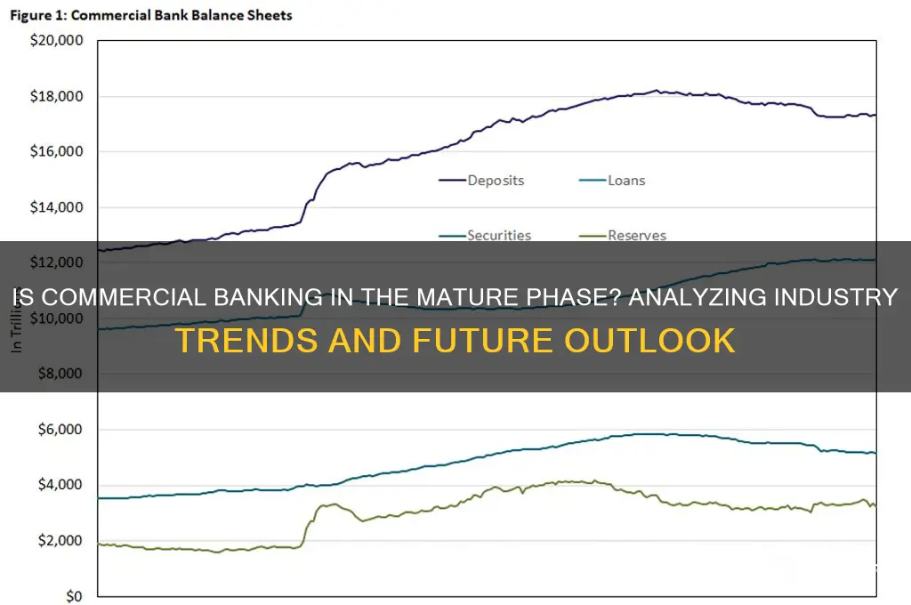 is commercial banking in the mature phase