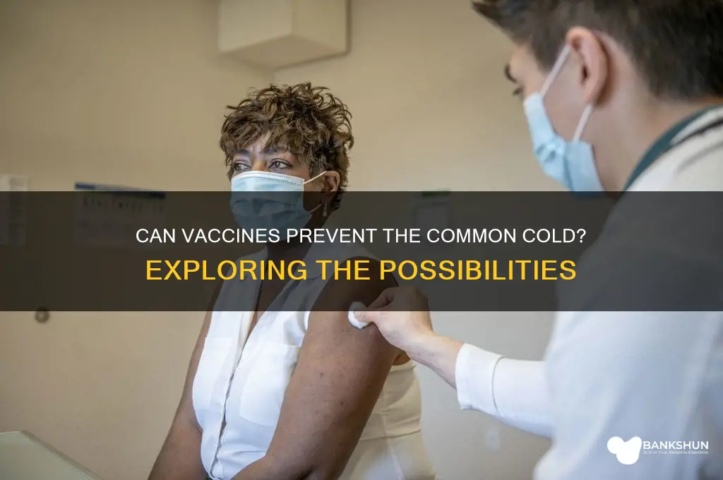 is common cold controlled by a vaccination