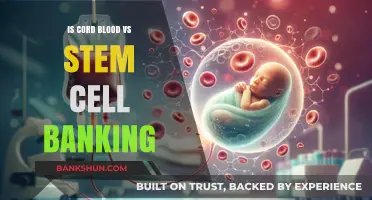 Cord Blood vs. Stem Cell Banking: Which Option is Right for Your Family?