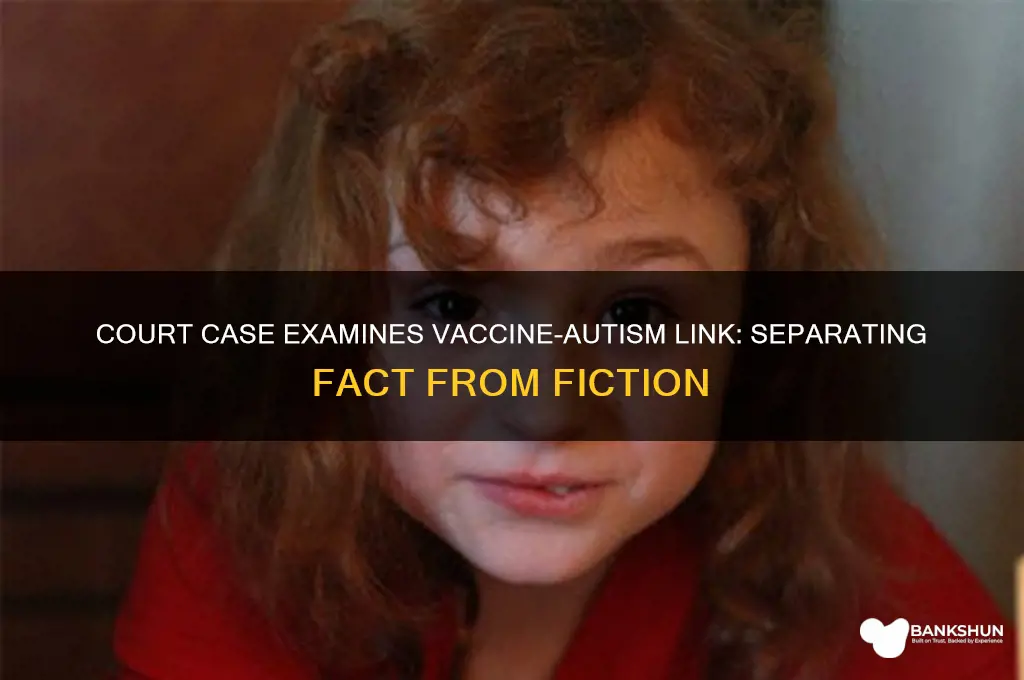 is court case showing vaccine autism causation