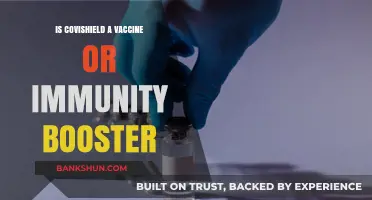 Covishield: Vaccine or Immunity Booster? Understanding Its Role in COVID-19 Protection