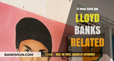 Are Craig David and Lloyd Banks Related? Unraveling the Truth